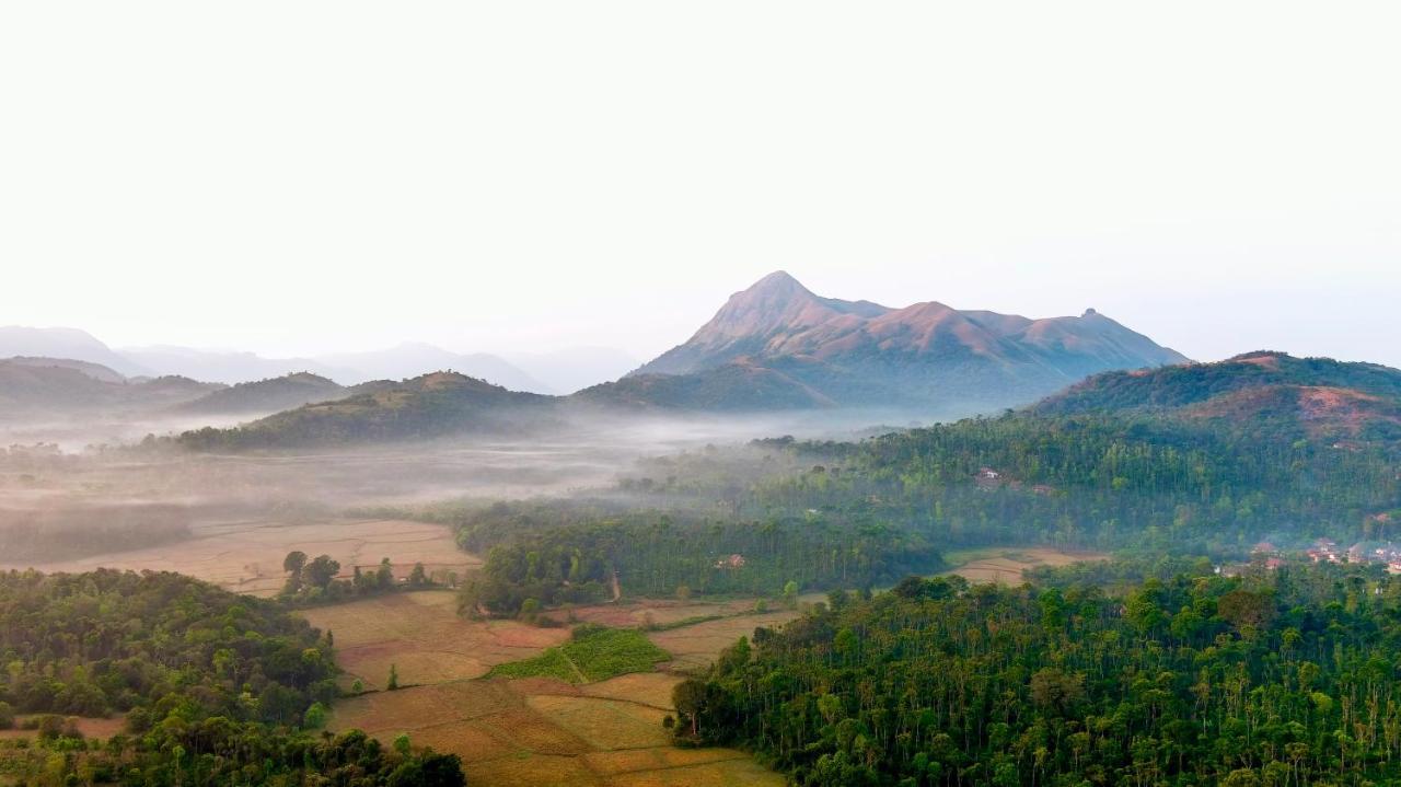 Machaan Plantation Resort, Sakleshpur Εξωτερικό φωτογραφία