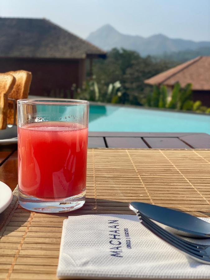 Machaan Plantation Resort, Sakleshpur Εξωτερικό φωτογραφία